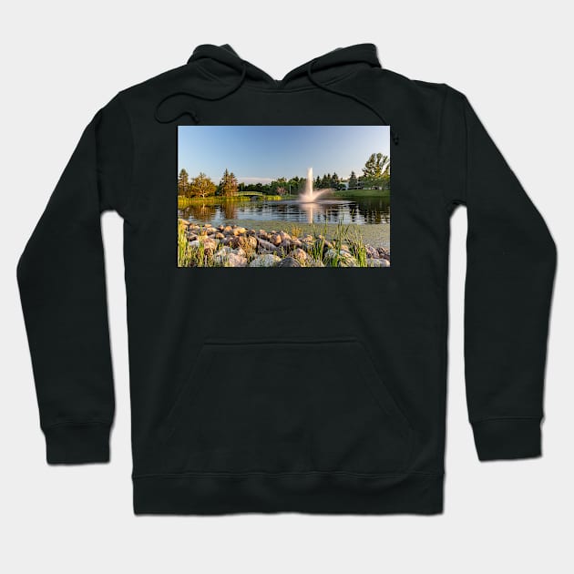 A Fountain at Mirror Lake Hoodie by saku1997